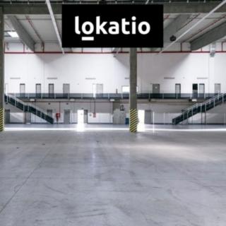 Pronájem skladu 9 786 m² Bor Nová Hospoda