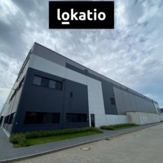 Pronájem skladu 8100 m² Olomouc