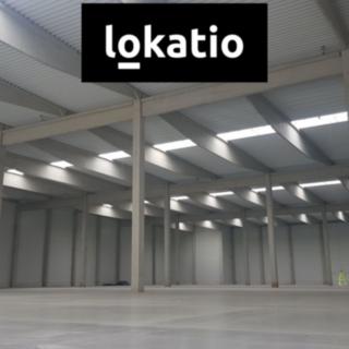 Pronájem skladu 18 500 m² Přimda Mlýnec