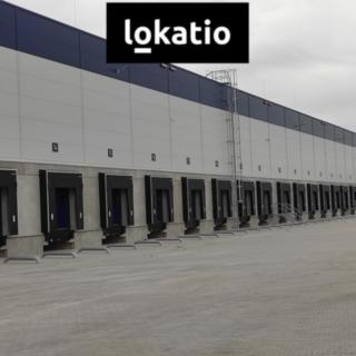 Pronájem skladu 4 300 m² Jirkov Červený Hrádek
