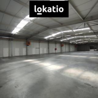 Pronájem skladu 2 500 m² Hradec Králové