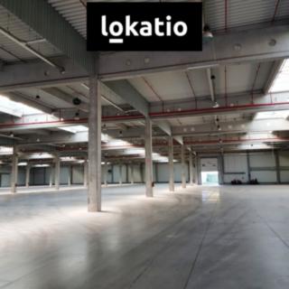 Pronájem skladu 37900 m² Brno