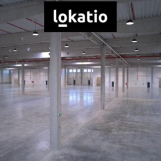Pronájem výrobního objektu 13 200 m² Mikulov