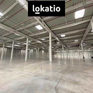 Pronájem skladu 3700 m&sup2; Olomouc
