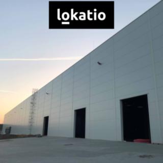 Pronájem skladu 5 994 m² Ostrava Martinov, 17. listopadu