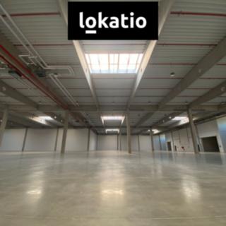 Pronájem výrobního objektu 1 800 m² Mikulov