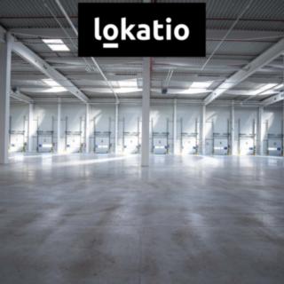 Pronájem skladu 29 524 m² Ostrava Vítkovice