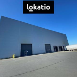 Pronájem výrobního objektu 7 670 m² Litovel