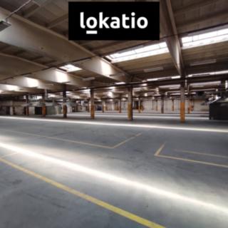 Pronájem skladu 3 903 m² Litoměřice Předměstí, Želetická