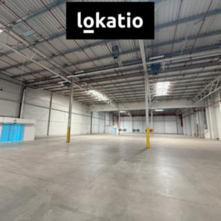 Pronájem skladu 2193 m² Plzeň