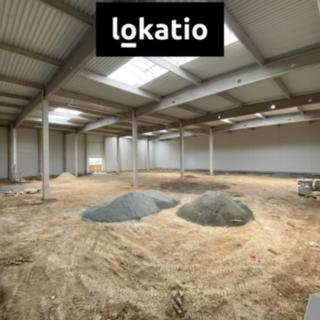 Pronájem skladu 3078 m² Holubice