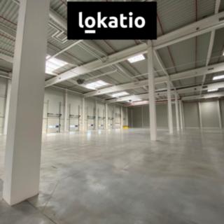 Pronájem skladu 2 900 m² Ostrava Vítkovice