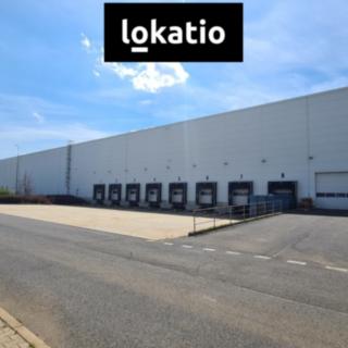 Pronájem skladu 4650 m² Kadaň