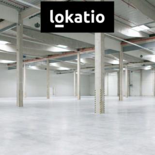 Pronájem skladu 10 446 m² Karviná Staré Město