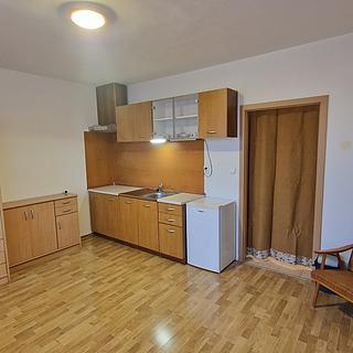 Prodej bytu 1+kk a garsoniéry 27 m² Štěnovice, Čižická
