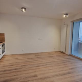 Pronájem bytu 1+kk a garsoniéry 40 m² Plzeň Bolevec, Studentská