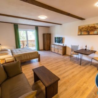 Prodej bytu 1+kk a garsoniéry 46 m² Lipno nad Vltavou