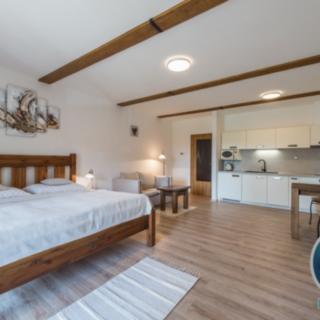 Prodej bytu 1+kk a garsoniéry 46 m² Lipno nad Vltavou