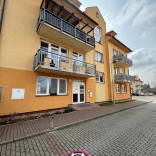 Prodej bytu 1+kk a garsoniéry 43 m² Čáslav -Nové Město, Pražská