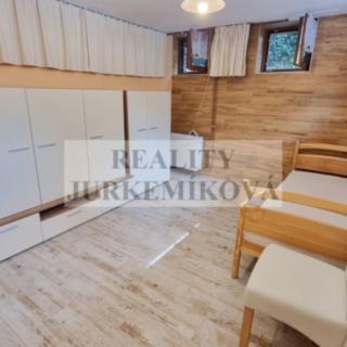 Pronájem bytu 1+kk a garsoniéry 17 m² Rudolfov