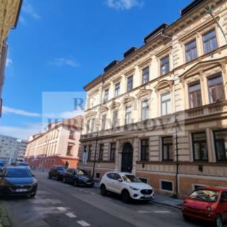 Pronájem bytu 1+kk a garsoniéry 15 m² České Budějovice 3, Skuherského