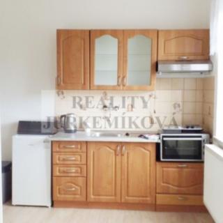Pronájem bytu 1+kk a garsoniéry 40 m² České Budějovice, Husova tř.
