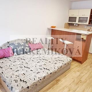 Pronájem bytu 1+kk a garsoniéry 26 m² České Budějovice 2, Otavská