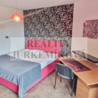 Pronájem bytu 1+kk a garsoniéry 25 m² České Budějovice 7