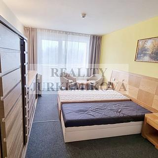 Prodej bytu 1+kk a garsoniéry 30 m² Frymburk