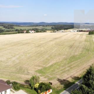 Prodej stavební parcely 5 000 m² Říčky