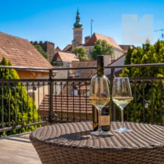 Prodej rodinného domu 261 m² Mikulov, Kozí hrádek