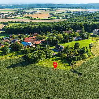 Prodej zahrady 2 482 m² Bačalky Lično