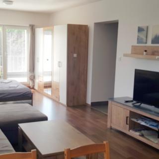Pronájem bytu 1+kk a garsoniéry 50 m² Hradec Králové Nový, Pod Zámečkem
