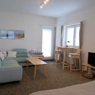 Pronájem bytu 1+kk, garsoniery 40 m² Hradec Králové