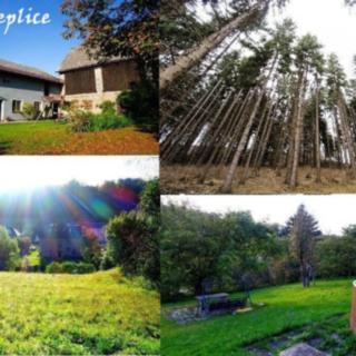 Prodej rodinného domu 190 m² Teplice nad Metují Dolní Teplice, Nádražní