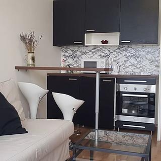 Pronájem bytu 1+kk, garsoniery 22 m&sup2; Praha