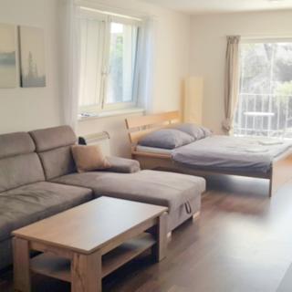 Pronájem bytu 1+kk, garsoniery 48 m² Hradec Králové