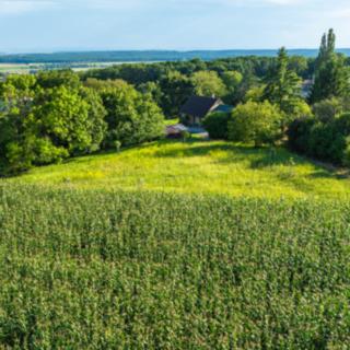 Prodej zahrady 2482 m² Bačalky