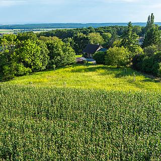 Prodej stavební parcely 5 076 m² Bačalky Lično