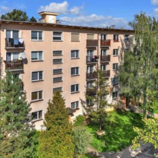 Prodej bytu 1+1 29 m² Milovice Mladá, Braniborská