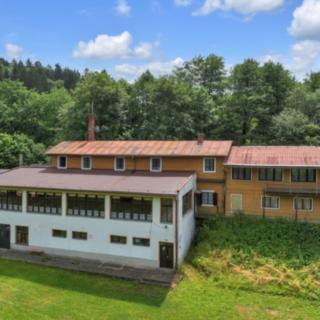 Prodej hotelu a penzionu 900 m² Vysoká Srbská