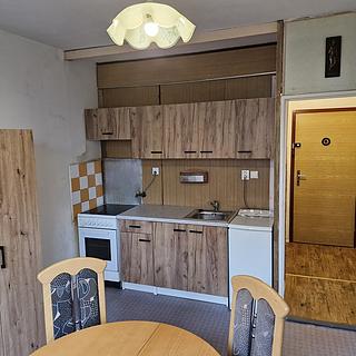 Prodej bytu 1+1 36 m² Teplice Trnovany, Julia Payera