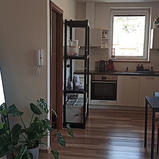 Pronájem bytu 2+kk 44 m² Ivanovice na Hané