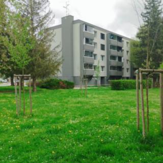 Prodej bytu 3+1 74 m² Ivanovice na Hané, Mlýnská