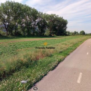 Prodej zemědělské půdy 4 988 m² Dobřichovice