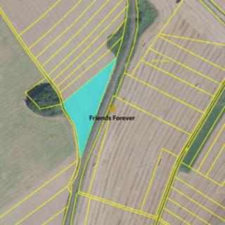 Prodej zemědělské půdy 4 114 m² Městečko Trnávka