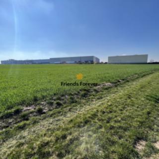 Prodej zemědělské půdy 20392 m² Radonice