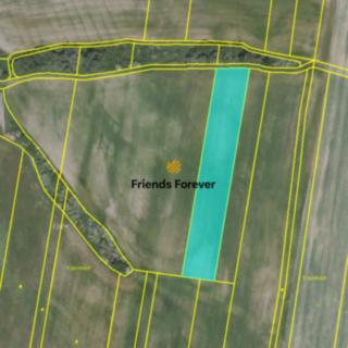 Prodej zemědělské půdy 7411 m² Krušovice