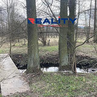 Prodej stavební parcely 3 097 m² Damníkov
