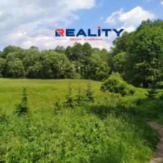 Prodej ostatního pozemku 7 824 m² Borušov Svojanov